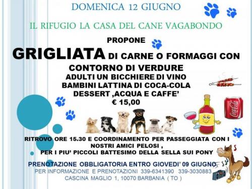 Grigliata - Barbania