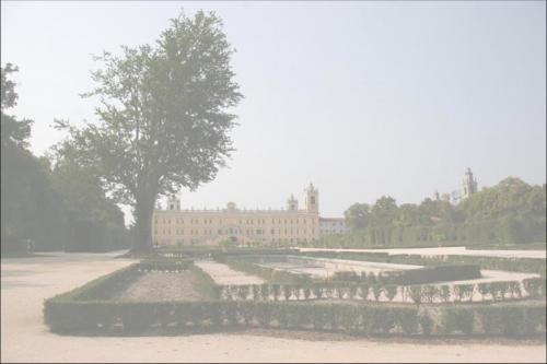 Profumo Di Violetta - Colorno