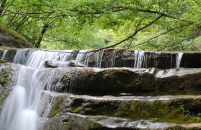 Trekking Acquatico - Portico E San Benedetto
