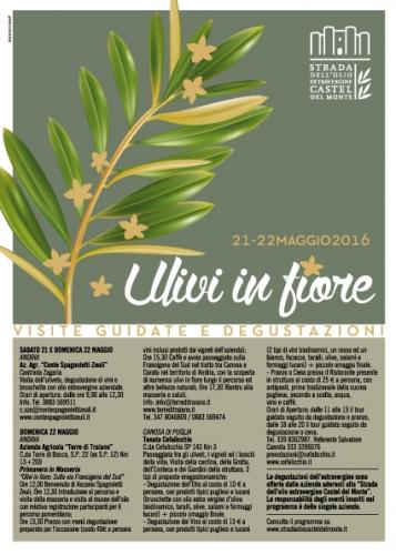 Ulivi In Fiore - Castel Del Monte