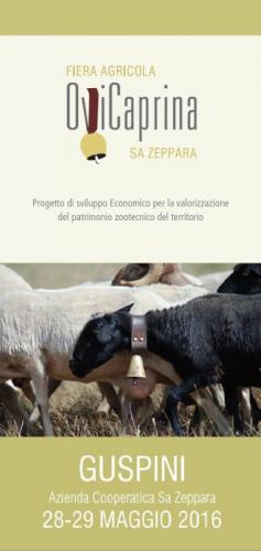 Fiera Ovicaprina - Guspini