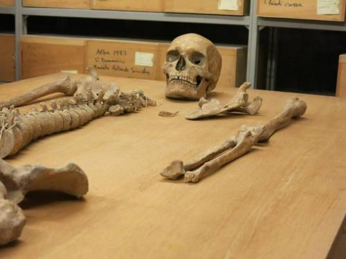 I Segni Della Vita - Alba