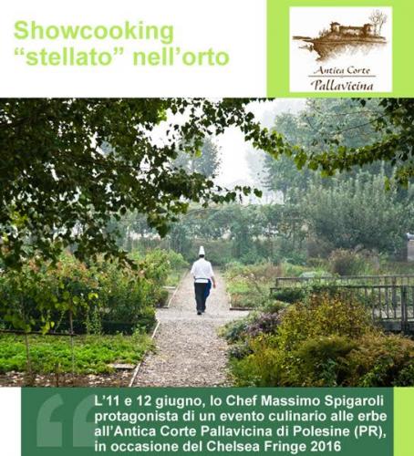 Showcooking Stellato Nell'orto - Polesine Parmense