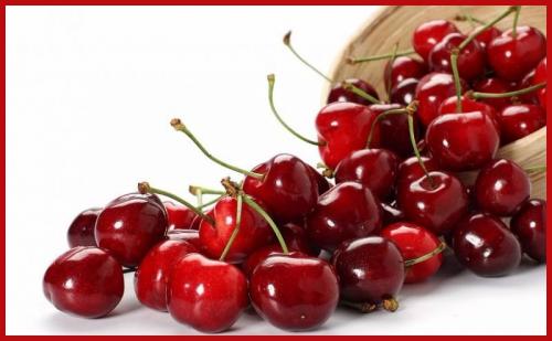 Festa Della Ciliegia Di Vignola I.g.p. - Prato