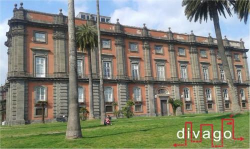 Visita Serale Al Museo Di Capodimonte - Napoli