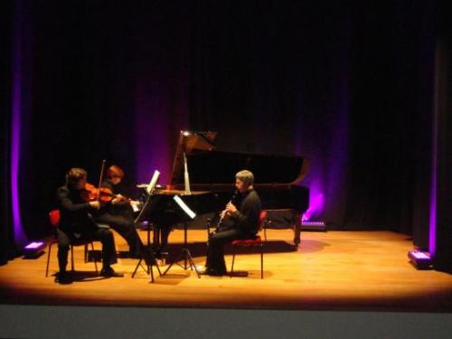 Trio Friedrich In Concerto Ad Arezzo  - Bucine