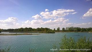 Birdwatching In Oasi - Isola Sant'antonio