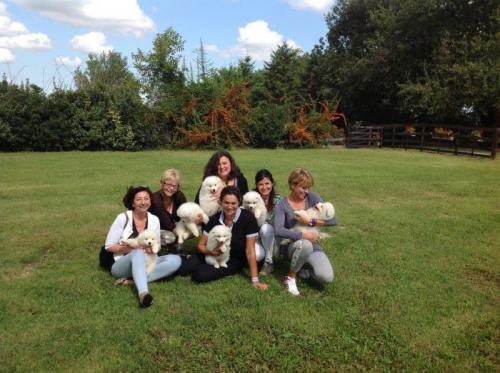 Tra Le Terre - Santa Giuletta