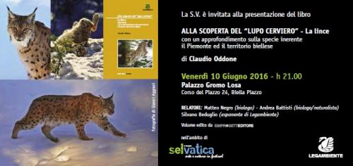 Eventi A Biella - Biella