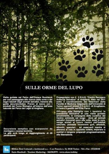 Sulle Orme Del Lupo - Avigliana