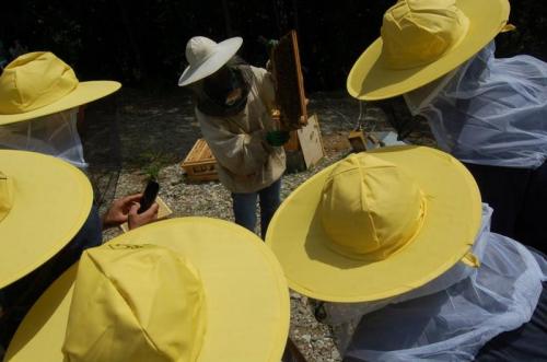 Aperitivo Con Vista - Pozzol Groppo