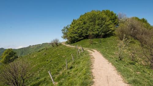 Trekking Sul Monte Antola - Carrega Ligure