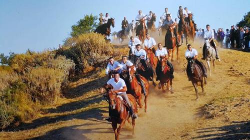 S'ardia Di Sedilo - Cagliari