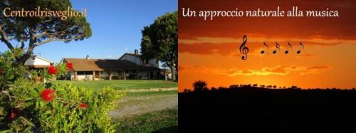 Musica E Meditazione - Scansano