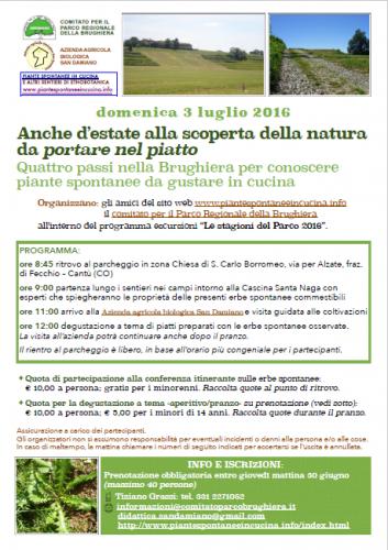 Erbe Spontanee In Cucina - Cantù