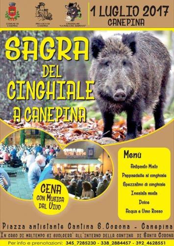 Sagra Del Cinghiale A Canepina - Canepina