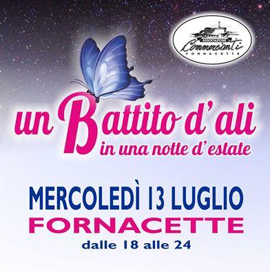 Un Battito D'ali In Una Notte D'estate - Calcinaia