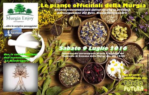 Le Piante Officinali Della Murgia - Cassano Delle Murge