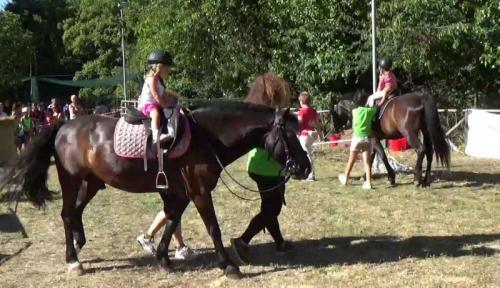 Festa Del Grano A Sassello - Sassello