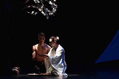 Butterfly Ballet - Colorno