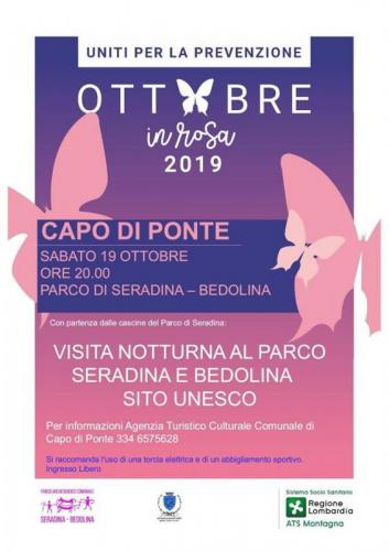 Visita Guidata In Notturna A Bedolina - Capo Di Ponte