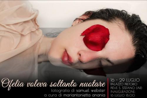 Personale Di Samuel Webster - Pieve Santo Stefano