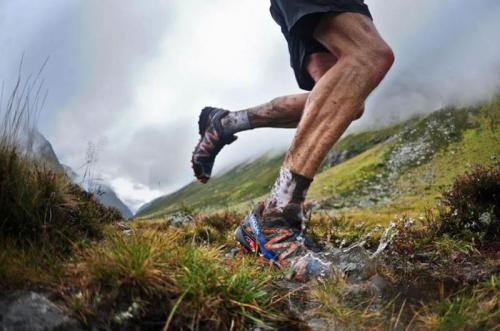 Brevetto Montegrappa Trail Running - Borso Del Grappa