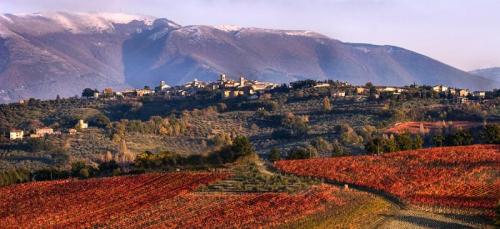Passeggiata Nel Paesaggio Umbro - Montefalco