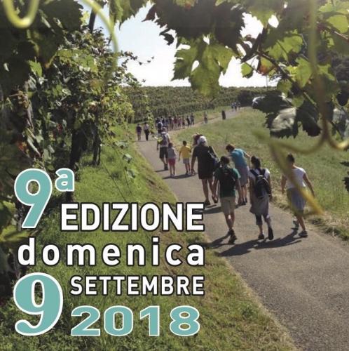 Magnalonga Di Franciacorta - Monticelli Brusati