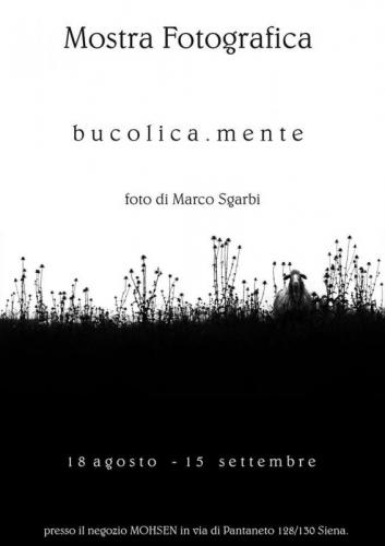 Personale Di Marco Sgarbi - Siena