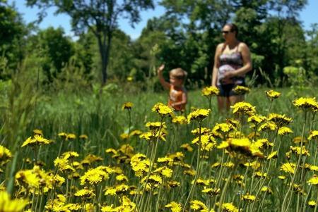 Tra Le Colline Del Piceno - Montefiore Dell'aso