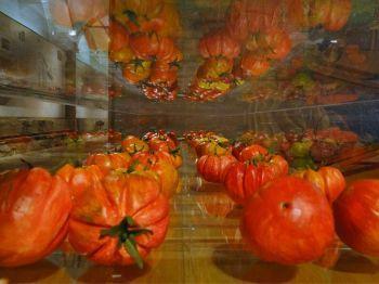 Tomaca Fest - Collecchio