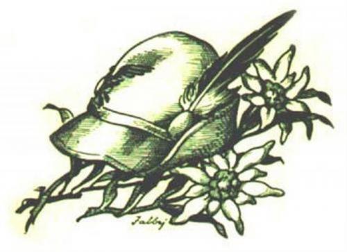 Mercatini Stella Alpina - Susa