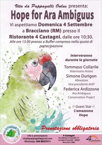 Hope For Ara Ambiguus - Bracciano