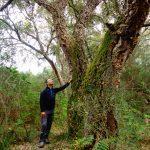 L'antico Bosco Sulla Laguna - Orbetello