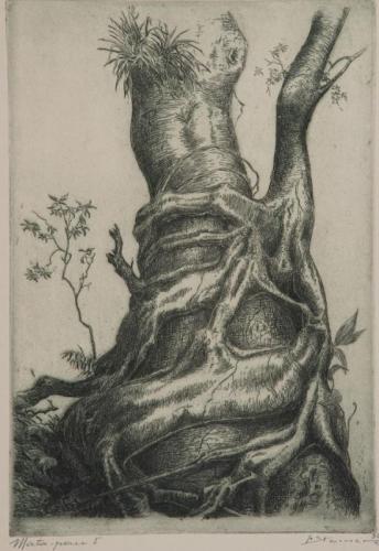 Hans Steiner - Gorizia