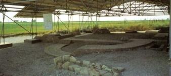 Aria Archeologica Di Santa Maria In Padovetere - Comacchio