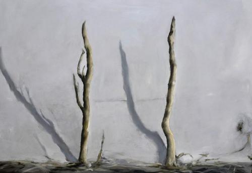 Personale Di Franz Baumgartner - Reggio Emilia