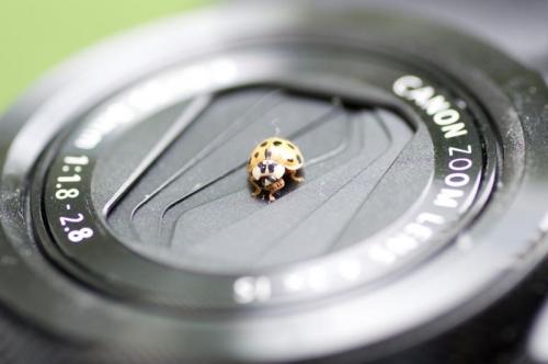 Personale Di Giovanni Del Ben - Pordenone