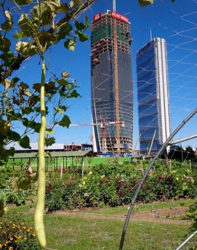 Orti Fioriti A Citylife - Milano