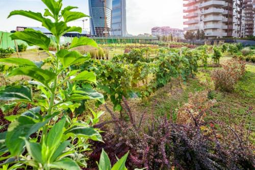 Orti Fioriti A Citylife - Milano