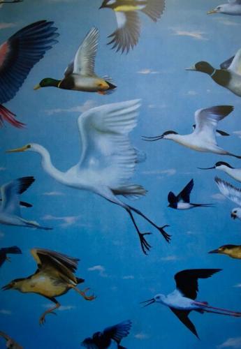 Personale Di Anna Kennel - Palermo