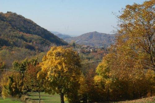 Festa D'autunno Con Passeggiata In Val Di Nizza - Val Di Nizza