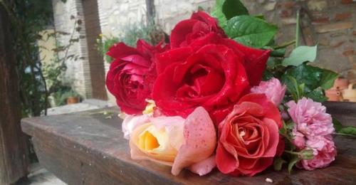 La Cura Delle Rose In Autunno - Perugia