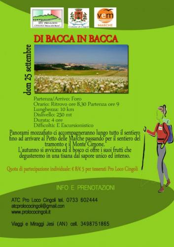 Di Bacca In Bacca - Cingoli