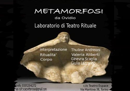 Metamorfosi - Torino