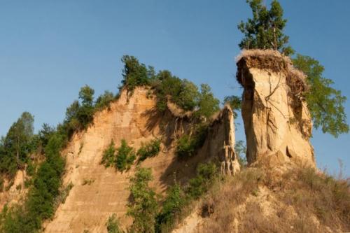 Il Misterioso Sal Di Canale - Monticello D'alba