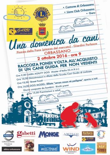 Una Domenica Da Cani - Orbassano