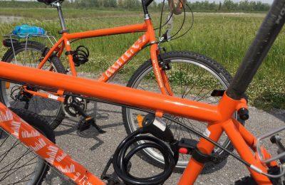 Escursione In Bicicletta - Mesola