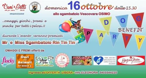 Dog Party - Osimo